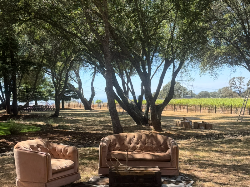 Vintage lounge furniture at a wedding